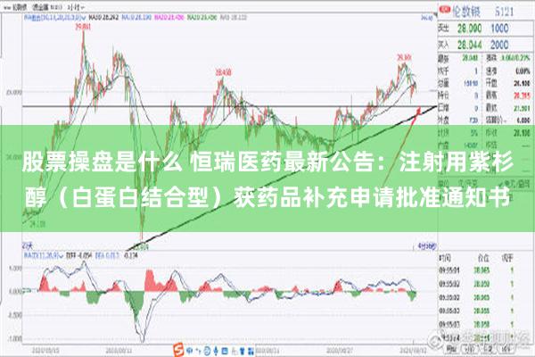 股票操盘是什么 恒瑞医药最新公告：注射用紫杉醇（白蛋白结合型）获药品补充申请批准通知书