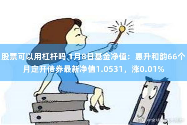 股票可以用杠杆吗 1月8日基金净值：惠升和韵66个月定开债券最新净值1.0531，涨0.01%