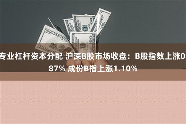 专业杠杆资本分配 沪深B股市场收盘：B股指数上涨0.87% 成份B指上涨1.10%